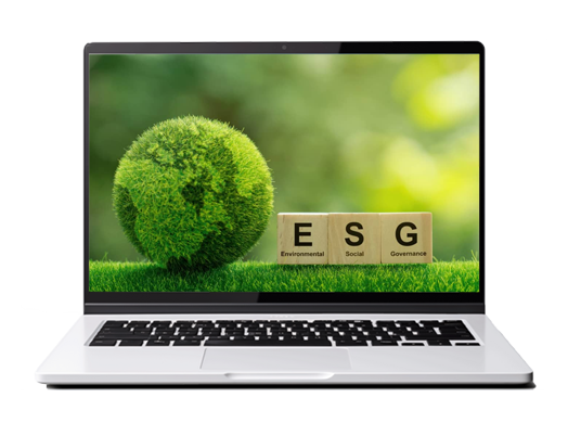 Sustainable Development